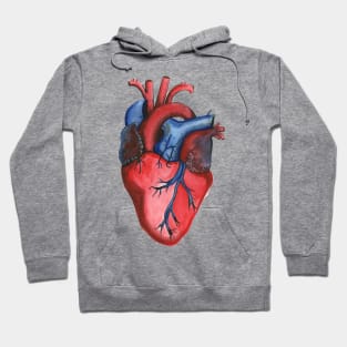 Anatomical Hand Painted Watercolor Heart Hoodie